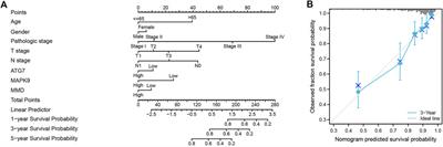 Screening of ferroptosis-related genes with prognostic effect in colorectal cancer by bioinformatic analysis